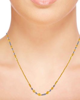 22K Gold Chain C-1165 (22 inches)