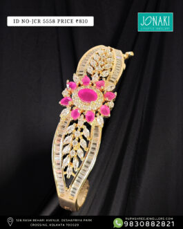 Jonaki Chur – JCR 5558